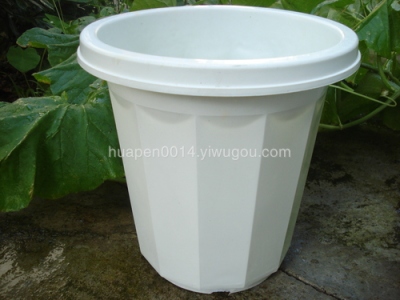 AC250*240 series planters corner basin white straight leg universal tree pots