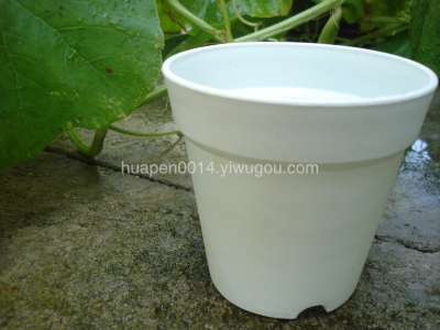 New vientiane pot white plastic pot succulent flowerpot A90 white flowerpot
