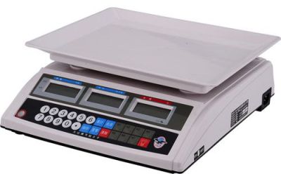 A10 electronic scale weighing scale