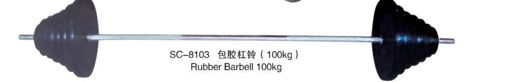 Coated barbell 80 kg