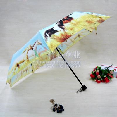  wholesale Korea Mathieu landscape creative umbrellas, golf umbrellas 
