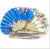 Wholesale-Japan Women's keel novel fan fan Japan kimono silk fan fan Kwai-shaped fan