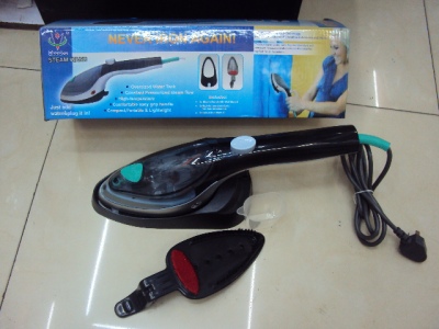 Steam iron brush