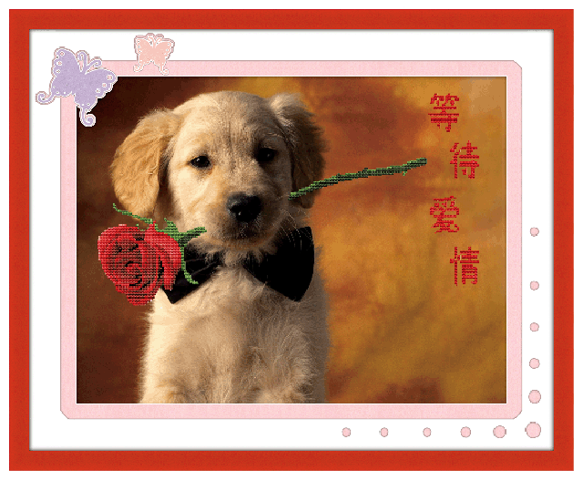 new handmade printing cross stitch crafts wholesale embroidery waiting for love 5d0011