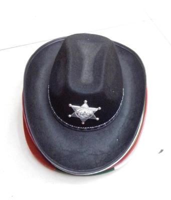 A cowboy hat,