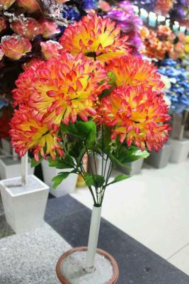 9 Heads of African Chrysanthemum