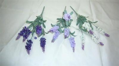 5. Lavender