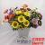 Spring Daisy artificial flower Factory Outlet 5 head/plastic flowers/artificial/home decor