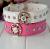 pet products fashion a arrow piercing PU pet collars pet collar rhinestone dog collar