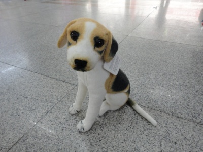 Artificial plush toy hua li dog