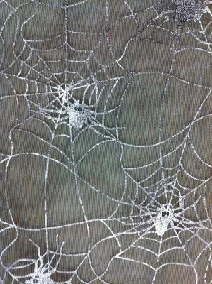 Silver Spider Web