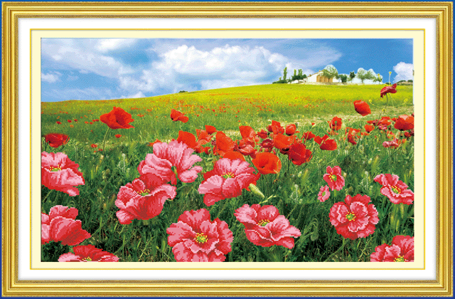 living room diy new material package cross stitch cloth arts and crafts wholesale poppy garden 5d0131