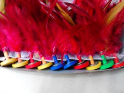 Colored cock feathers at the end of Shuttlecocks/splines/shuttlecock