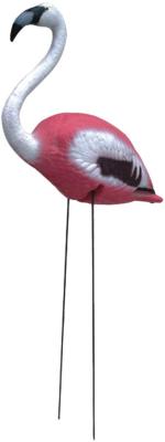 Flamingo, cranes, Magpies, parrots, owls, gulls, crows, pigeons, birds