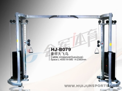 Hj-b079 great bird trainer commercial set sports equipment combination gym strength equipment