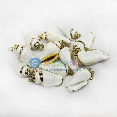 [Italian shell coral] natural shell conch electroplating K gold and silver edge shell accessories accessories wholesale