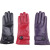 Hundreds of Tiger gloves. European women's leather gloves. extended color women's gloves