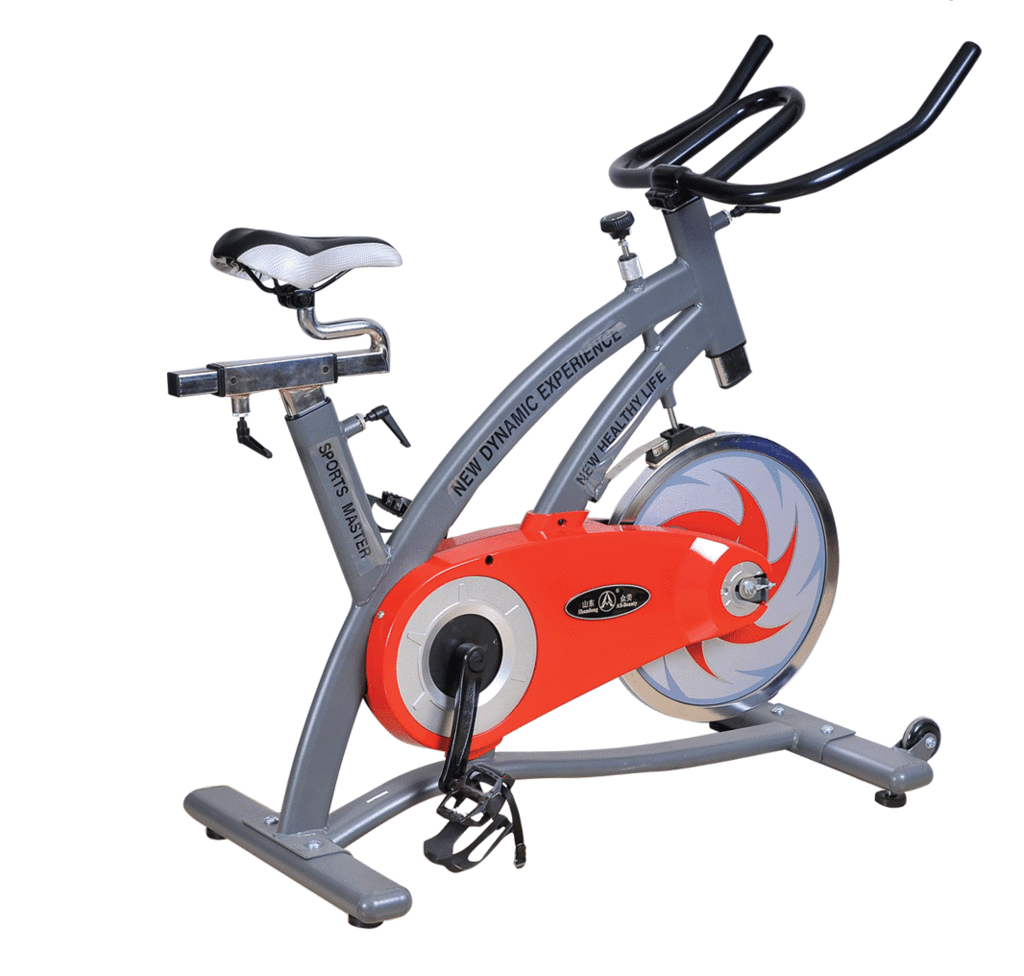 magnetic control exercise bike cheap and fine