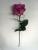 Factory direct single Victorian rose high simulation flower artificial flower dried flower