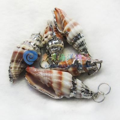 Bay natural conch electroplated edge natural shells coral jewelry accessories wholesale