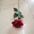 Single round rose roses artificial flowers silk flowers artificial flowers plant simulation
