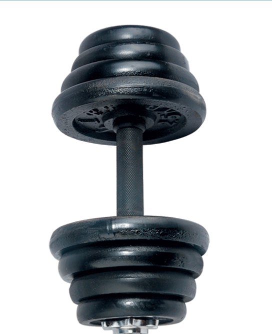 factory wholesale black coated dumbbell