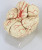 Human body model of human organ model of cerebral artery model.