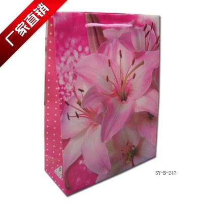 Factory outlets, gift bags, green bags, PP bags