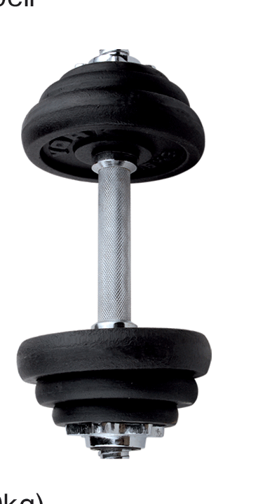 Wholesale Price of Black Plastic Dumbbell