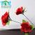 3 Duobu rose flower simulation shop 2 Yuan plastic flowers wholesale supply decorative flowers
