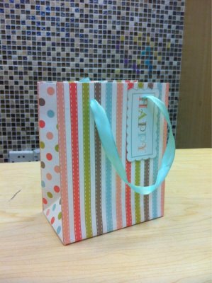 The New High - grade Colorful Stripe Lovely Dot Design EH ENC Handbag Gift Bag.