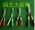 Pruning Shears Hedge Shears Flower and Grass Scissors Piba Scissors Cut Flowers Fruit Picking High Branch Shears Garden Tools Hardware Tools