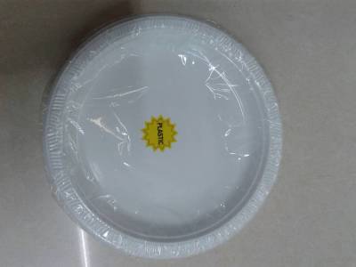 9-Inch Disposable Plate