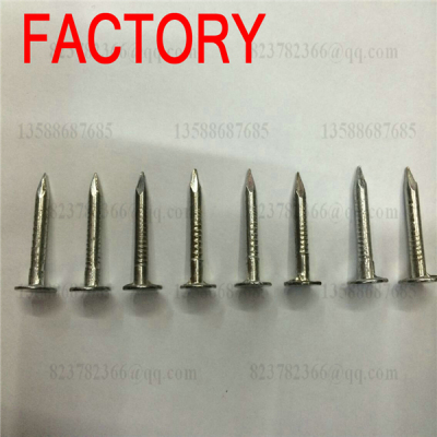 Big flat head galvanized roofing nails cupper nails