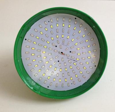 LED  grow lights for plants and vegetables supermarket fresh light   stock