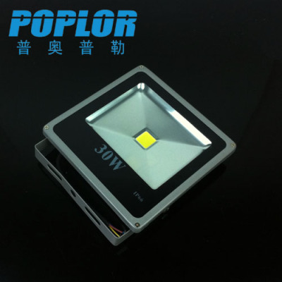30W/ LED project light lamp /Ultra thin styles/ LED flood light / projection lamp / waterproof / outdoor lighting /