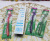 The Celebrity 235 crystal massage toothbrush soft bristle toothbrush elastic brush wholesale