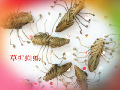 Pure hand palm leaf straw Zodiac Dragonfly bee insect spider and mantis shrimp