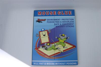 Manufacturer direct selling stick rat board, strong rat board rat glue