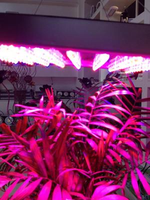  Fill light LED grow lights plant nursery lamp 15W power plant lamp     