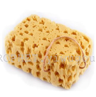 Coral sponge no bag honeycomb car wash sponge