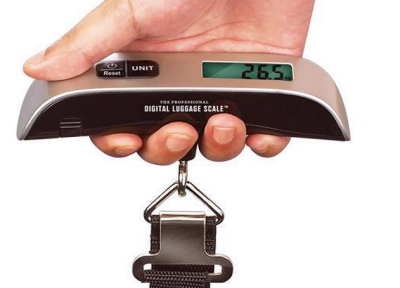 Luggage Scale 50kg Portable Handheld Scale Baggage Carousel Hook Scale