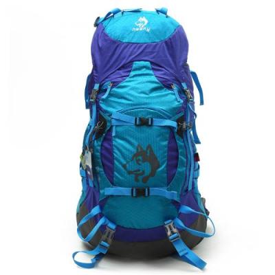 Outdoor backpacking camping Pack waterproof backpack HASKY brand