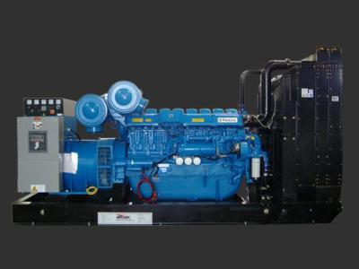 Perkins Diesel Generator Set