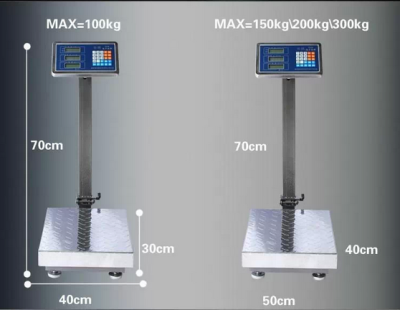 100kg Electronic Scale