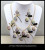 Onion powder necklace earrings set Rainbow chain set 2 piece set jewelry