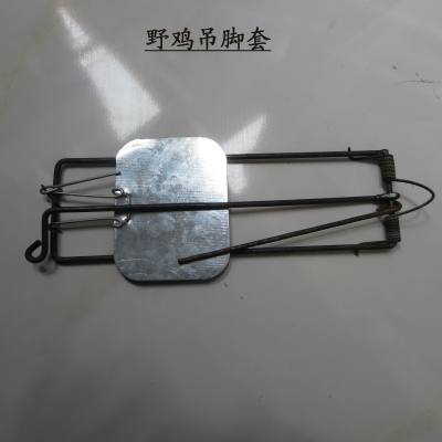 Jia Shan pig, pheasant pheasant Hare foot wires-clip