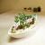 Factory direct ship bonsai craft POTS