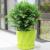 China proof twill Y18 series flowerpots are supplied in large quantity