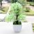 Factory direct sale of f20-1 square bonsai craft POTS